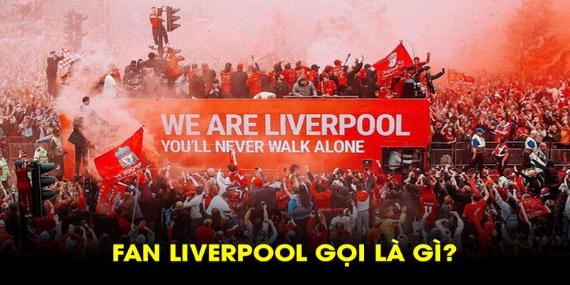 Liverpudlian - Fan Liverpool gọi là gì 